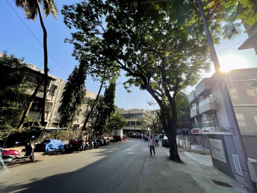 A wide-angle photo of a tree next to a road in a suburban locality. There are two-storey buildings either side of the road and the sun is peeking out from the right side.